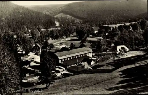 Ak Blauenthal Eibenstock im Erzgebirge, Panorama