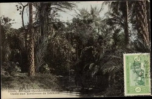 Ak Dakar Senegal, Oase