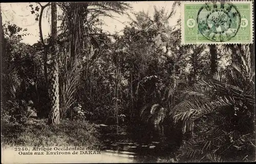 Ak Dakar Senegal, Oase