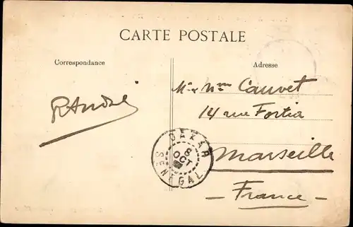 Ak Dakar Senegal, Möwen