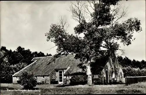 Ak Terschelling Friesland Niederlande, boerderij