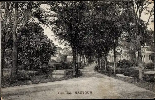 Ak Mantgum Friesland Niederlande, Villa-laan