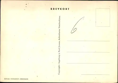 Ak Dänemark, Fahnen, Menschen, Vandrehjem