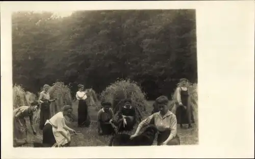 Foto Ak Frauen auf dem Getreidefeld