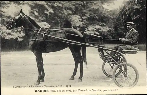 Ak La France Chevaline, Hardie von Narquois und Sebeville