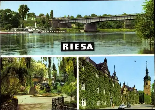 Ak Riesa an der Elbe Sachsen, Stadtpark, Rathaus, Brücke, Schiff