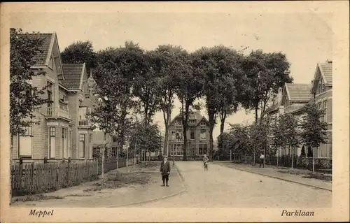 Ak Meppel Drenthe Niederlande, Parklaan