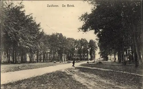 Ak Zuidlaren Drenthe Niederlande, De Brink