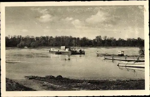 Ak Aken an der Elbe Sachsen Anhalt, Flusspartie mit Fähre