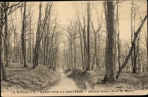 Ak Saint Nom la Bretèche Yvelines, Chemin Creux, Wald von Marly