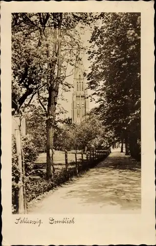 Ak Schleswig an der Schlei, Dom