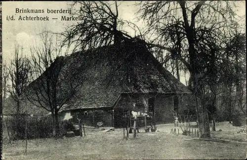 Ak Achterhoek Overijssel, Brinkmans boergerij