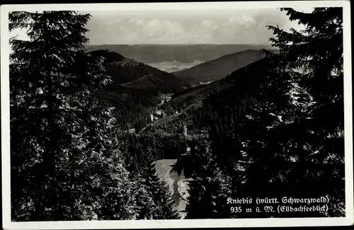 Ak Kniebis Freudenstadt im Schwarzwald, Panorama, Ellbachsee