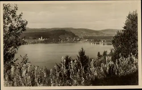 Ak Titisee Neustadt im Breisgau Hochschwarzwald, Panorama