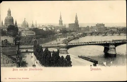 Ak Dresden Altstadt, Blick von der Albertbrücke