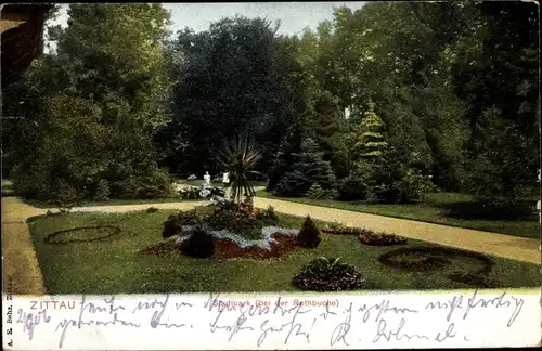 Ak Zittau in Sachsen, Stadtpark