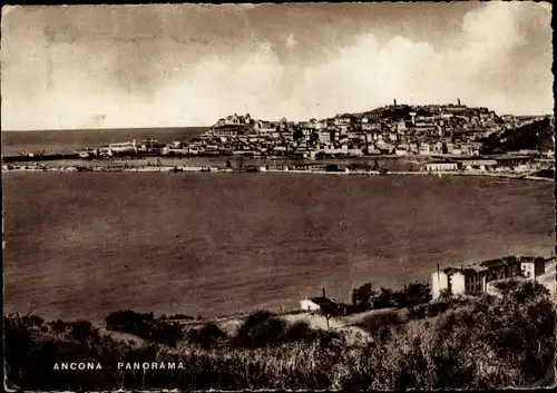 Ak Ancona Marche, Panorama