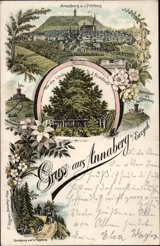 Litho Annaberg Buchholz im Erzgebirge, Panorama, Pöhlberg, Alte Linde auf dem Friedhof, Galgenberg