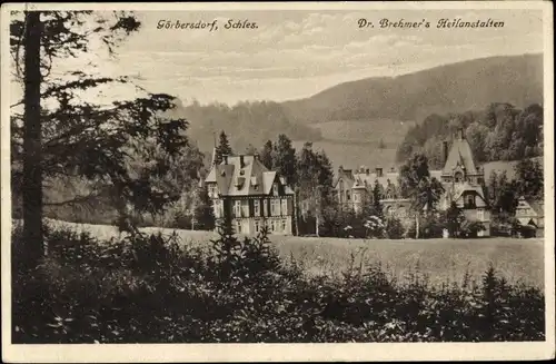 Ak Sokołowsko Görbersdorf Schlesien, Dr. Brehmer's Heilanstalten
