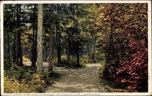 Ak Adirondack Mountains New York USA, Forest Home Road zum Saranac Inn, Saranac Lake