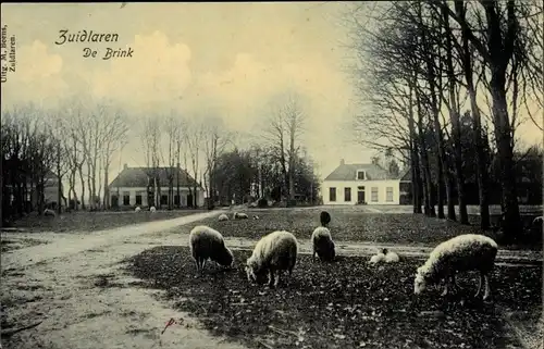 Ak Zuidlaren Drenthe Niederlande, De Brink, Schafe, Häuser