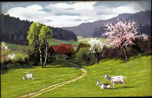 Künstler Ak Mailick, Landschaft mit Ziegen