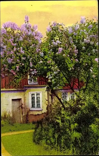 Ak Photochromie, HB, Fliederbusch, Wohnhaus