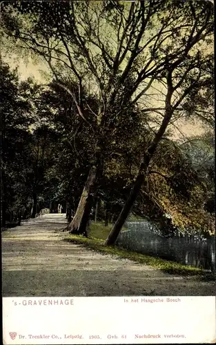 Ak 's Gravenhage Den Haag Südholland, Haagsche Bosch