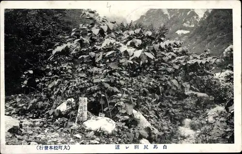 Ak Hokkaido Japan, Berge, Wald