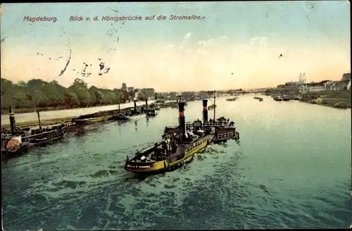 Ak Magdeburg an der Elbe, Blick von der Königsbrücke, Dampfschiff, Stromelbe