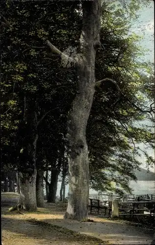 Ak Gremsmühlen Malente in Ostholstein, Diekseepromenade