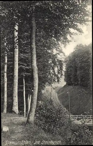 Ak Gremsmühlen Malente in Ostholstein, Im Steinbusch