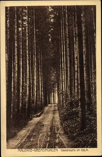 Ak Gremsmühlen Malente in Ostholstein, Tannenweg im Holm