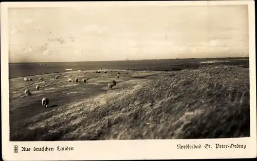 Ak Nordseebad Sankt Peter Ording, Außendeich