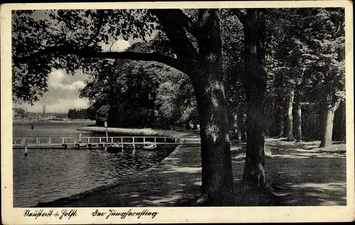 Ak Neustadt in Holstein, Jungfernstieg