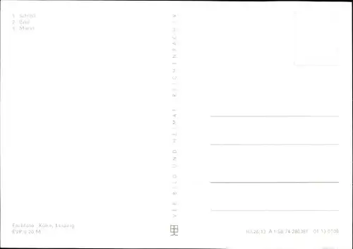 Ak Delitzsch in Sachsen, Schloss, Bad, Markt