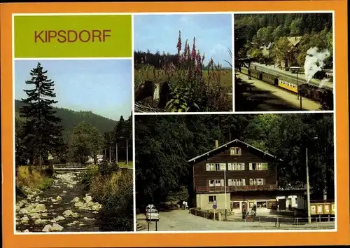 Ak Kipsdorf Altenberg im Erzgebirge, Roter Weißeritz, Digitalis, Schmalspurbahn Bunte Truhe