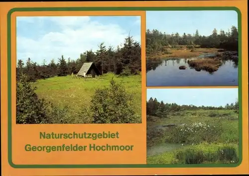 Ak Zinnwald Georgenfeld Altenberg im Erzgebirge, Naturschutzgebiet Georgenfelder Hochmoor