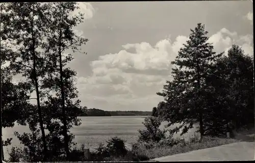 Ak Werbellinsee Schorfheide Barnim, Seeufer-Straße