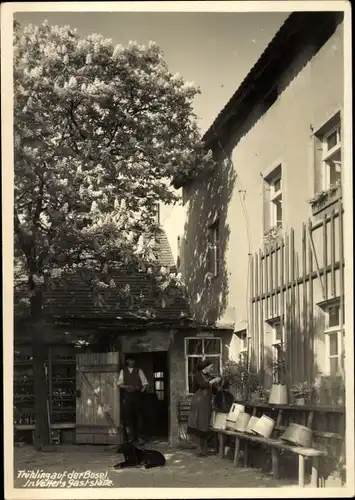 Ak Meißen Elbe, Frühling auf der Bösel, Vetters Gaststätte