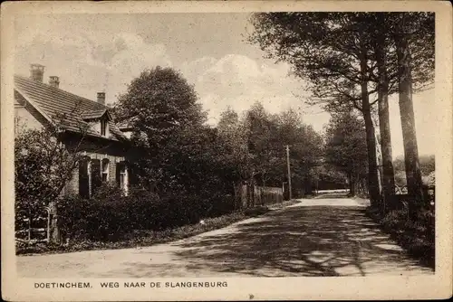 Ak Doetinchem Gelderland, Straße zur Slangenburg