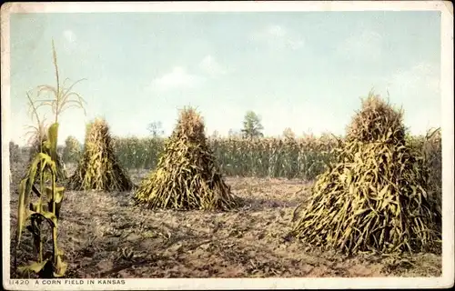 AK Kansas USA, Maisfeld