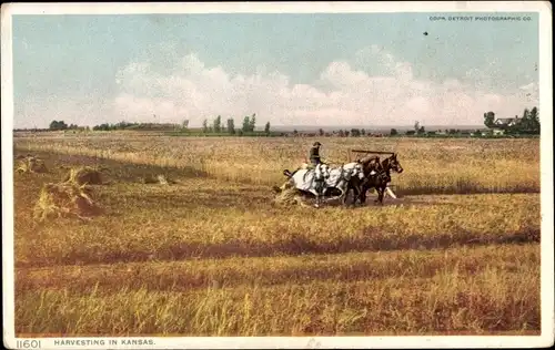 Ak Kansas USA, Ernte