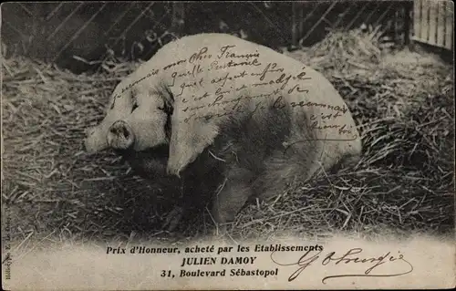 Ak Prix d'Honneur, gekauft von Etablissements Julien Damoy, 31, Boulevard Sebastopol