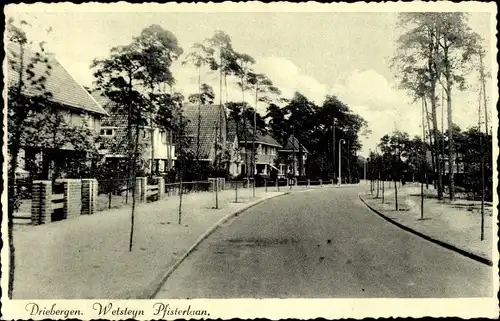 Ak Driebergen Utrecht Niederlande, Wetsteyn Pfisterlaan