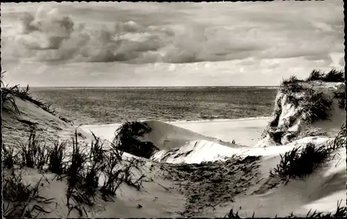 Ak Insel Sylt in Nordfriesland, Dünen, Strand
