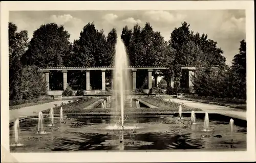 Ak Forst in der Lausitz, Wasserspiele im Rosengarten