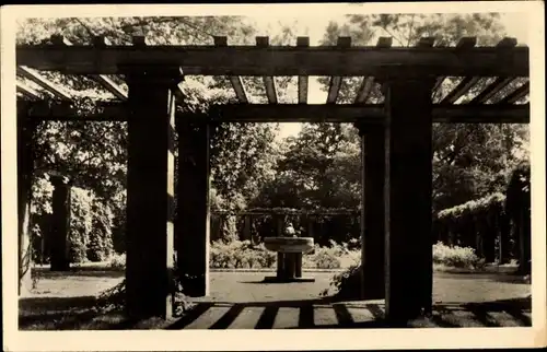 Ak Forst in der Lausitz, Ostdeutscher Rosengarten, Wehrinsel Pergola