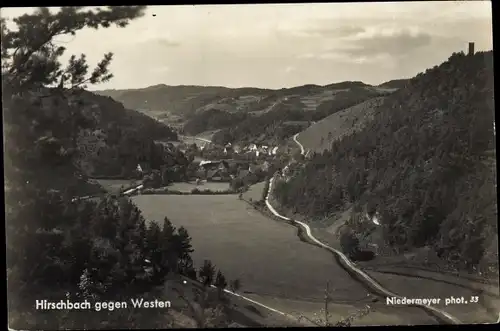 Ak Hirschbach in der Oberpfalz, Panorama