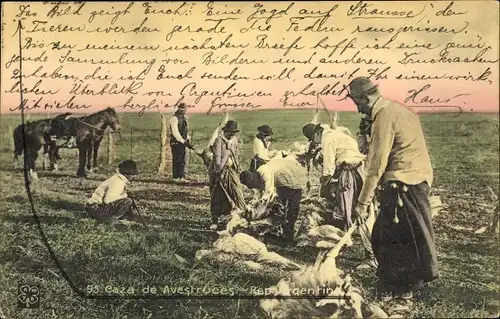 Ak Straußenfarm in Argentinien, erlegte Tiere